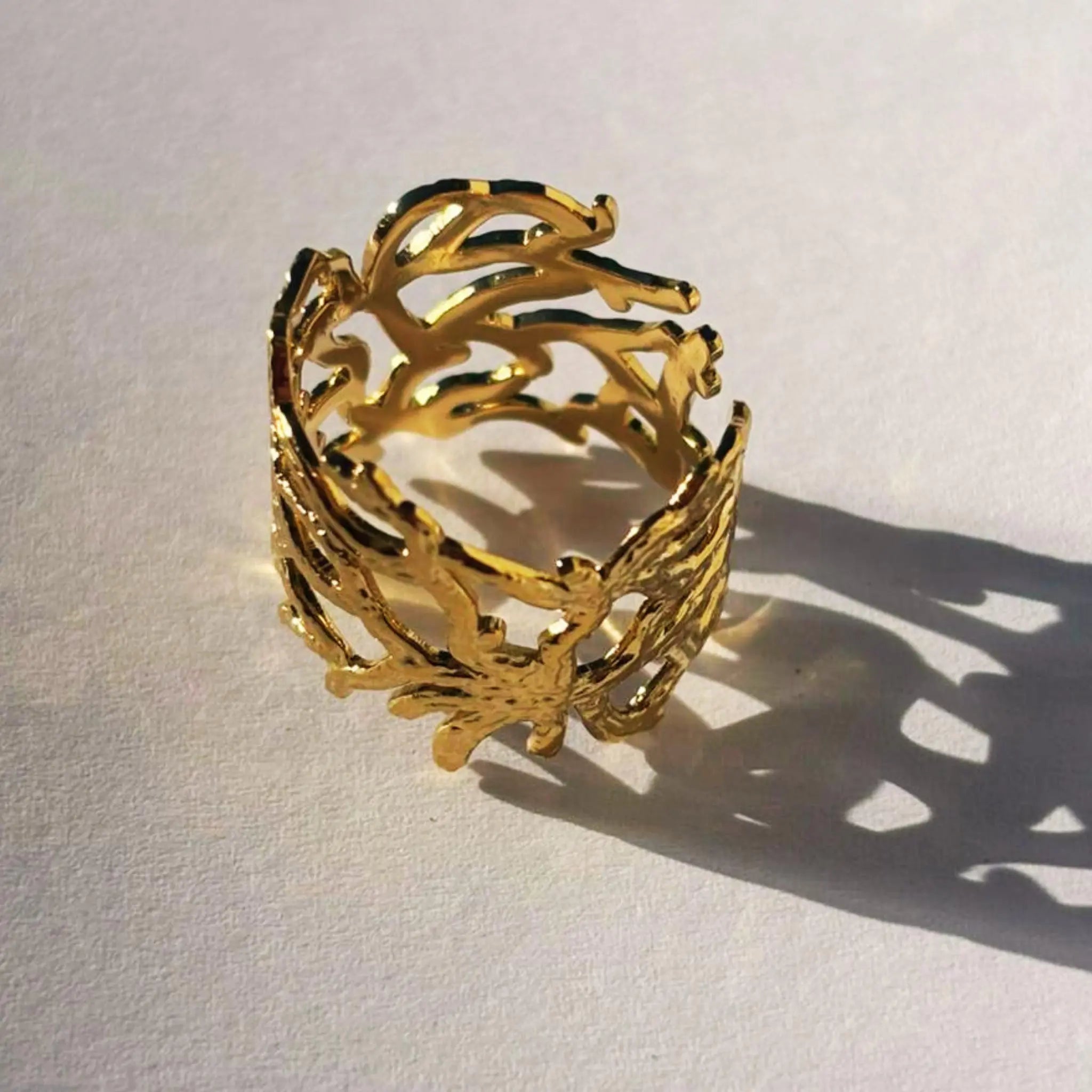 Anillo Olive Acero Inoxidabel vue de haut